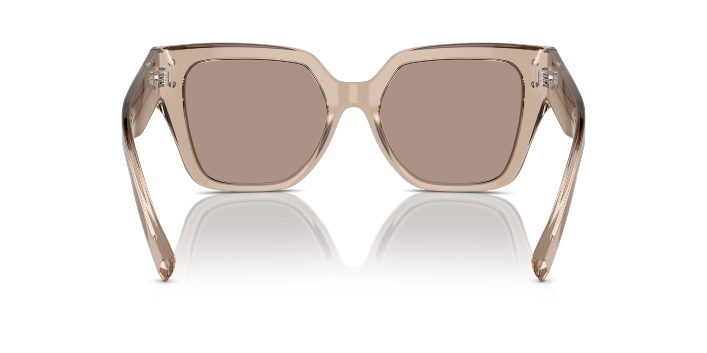 DG4471 Dolce & Gabbana Brown/Brown M