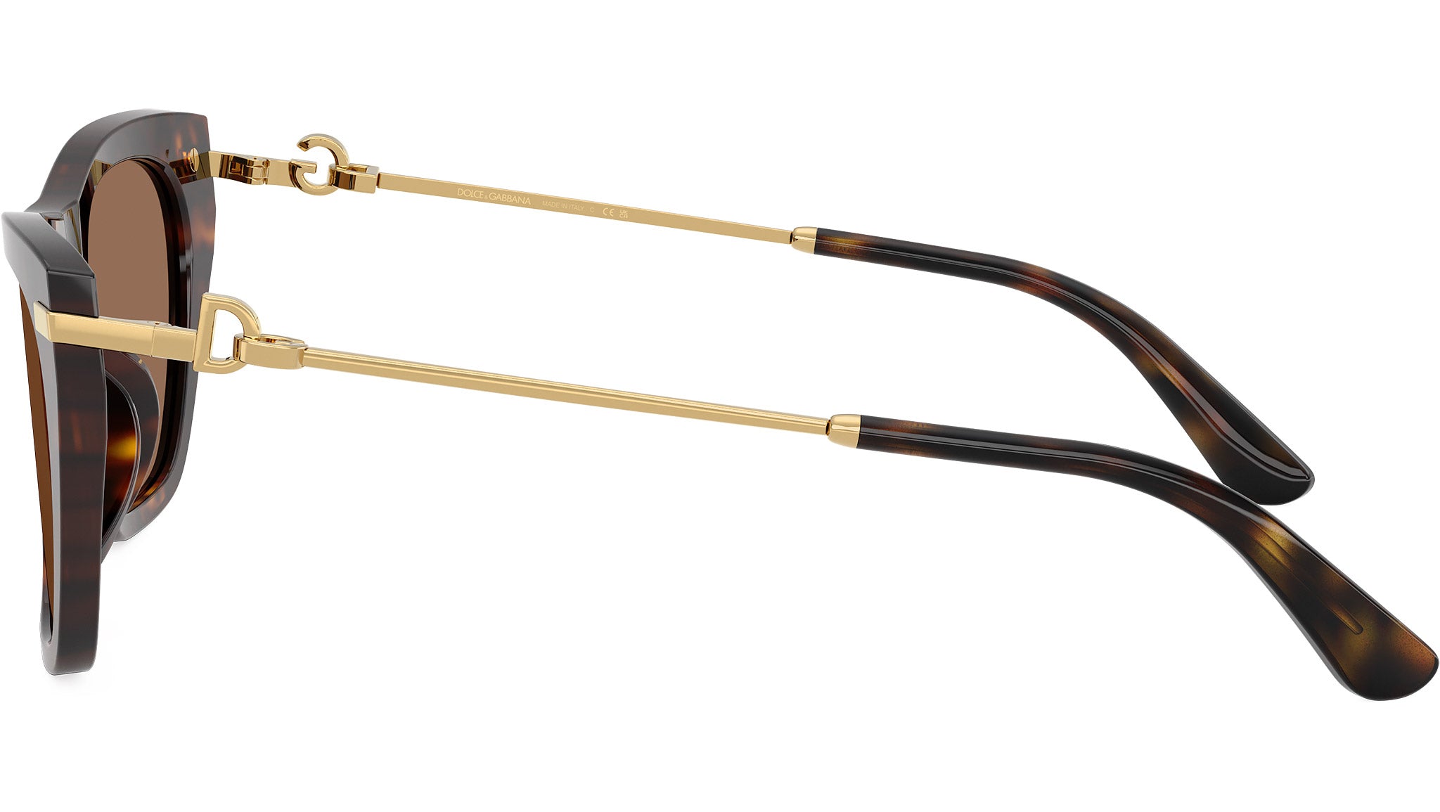 DG 4511 Dolce&Gabbana Havana/ Dark Brown