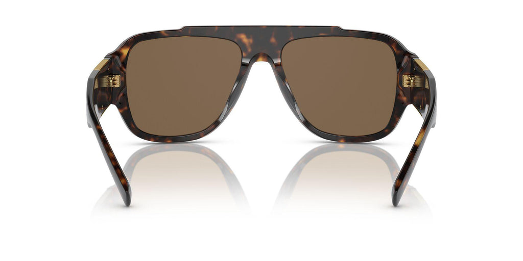 VE4436U Tortoise/Brown L