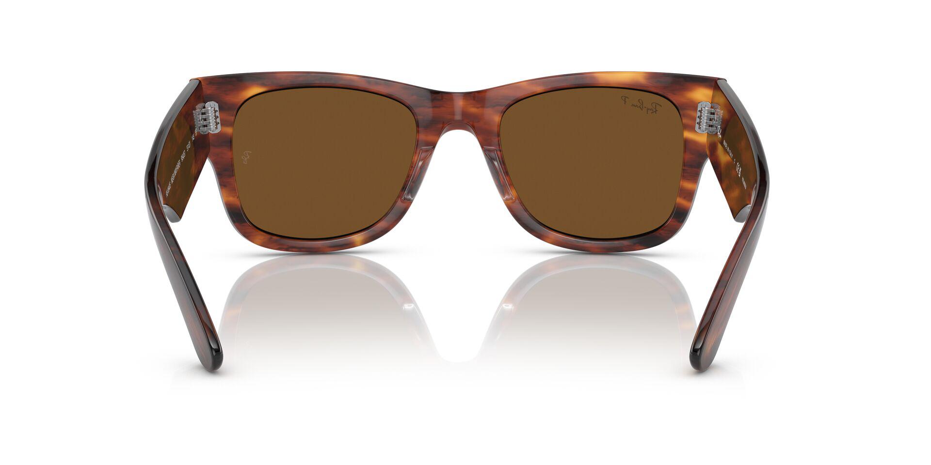 RB0840S Brown/Brown/Polarized M