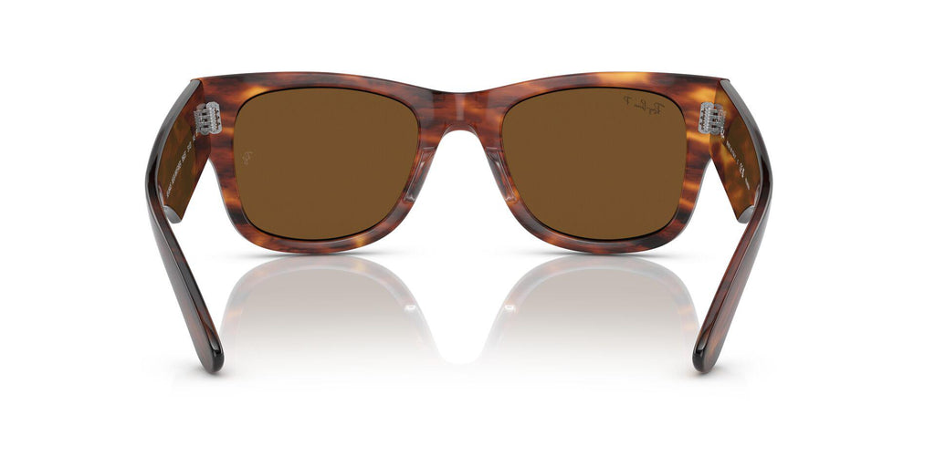 RB0840S Brown/Brown/Polarized M