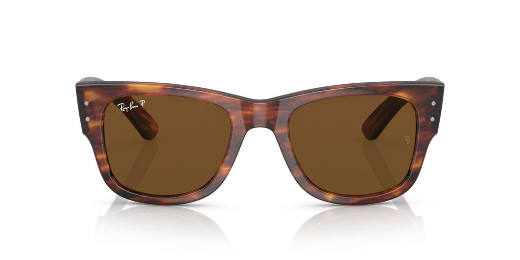 RB0840S Brown/Brown/Polarized M