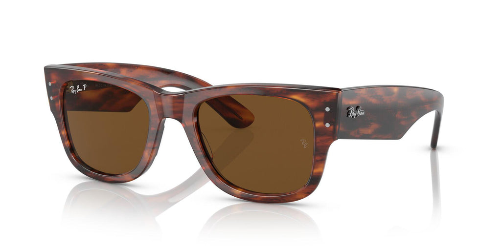 RB0840S Brown/Brown/Polarized M