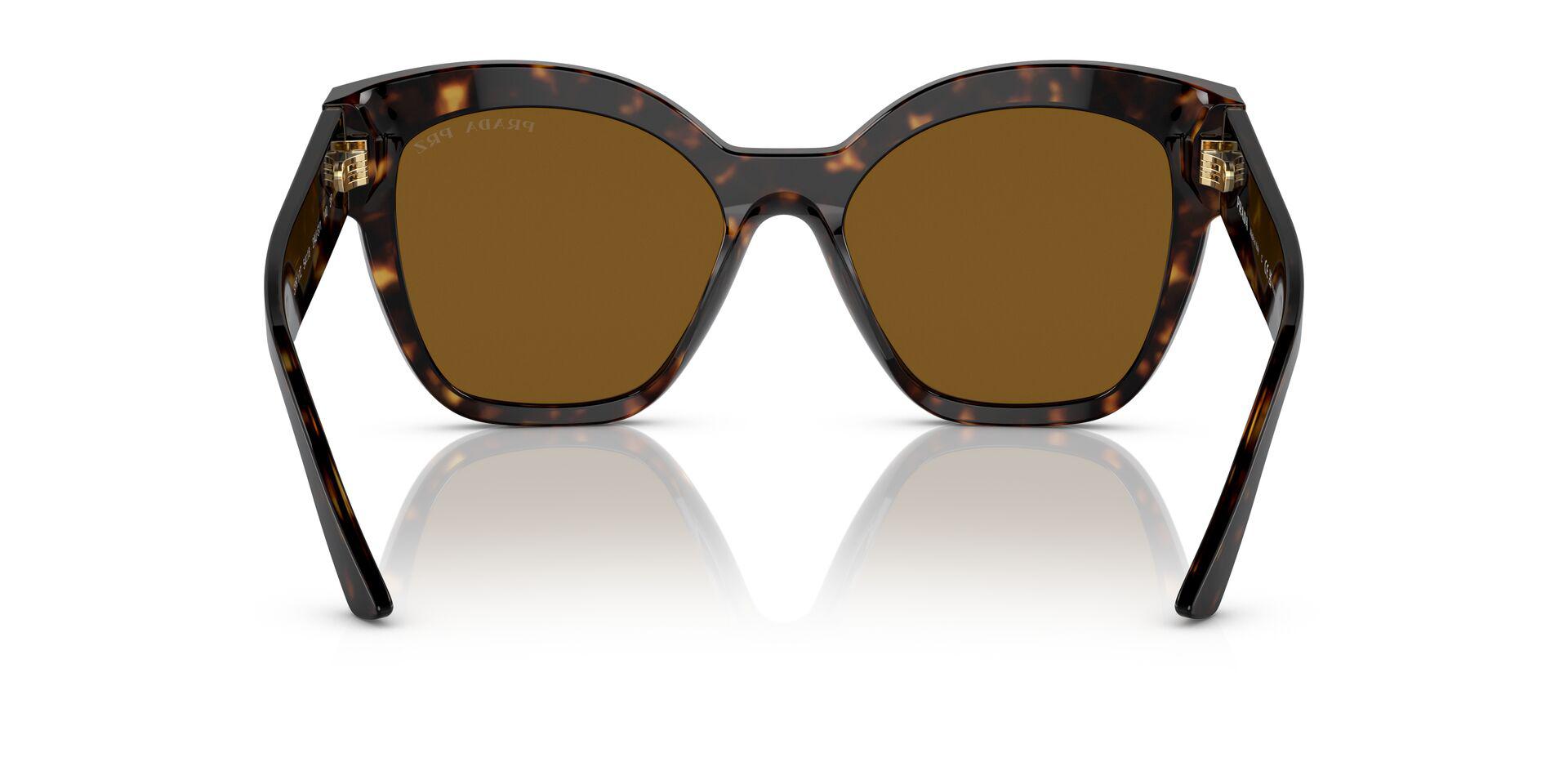 PR 17ZS Tortoise/Polar Dark Brown/Polarized M