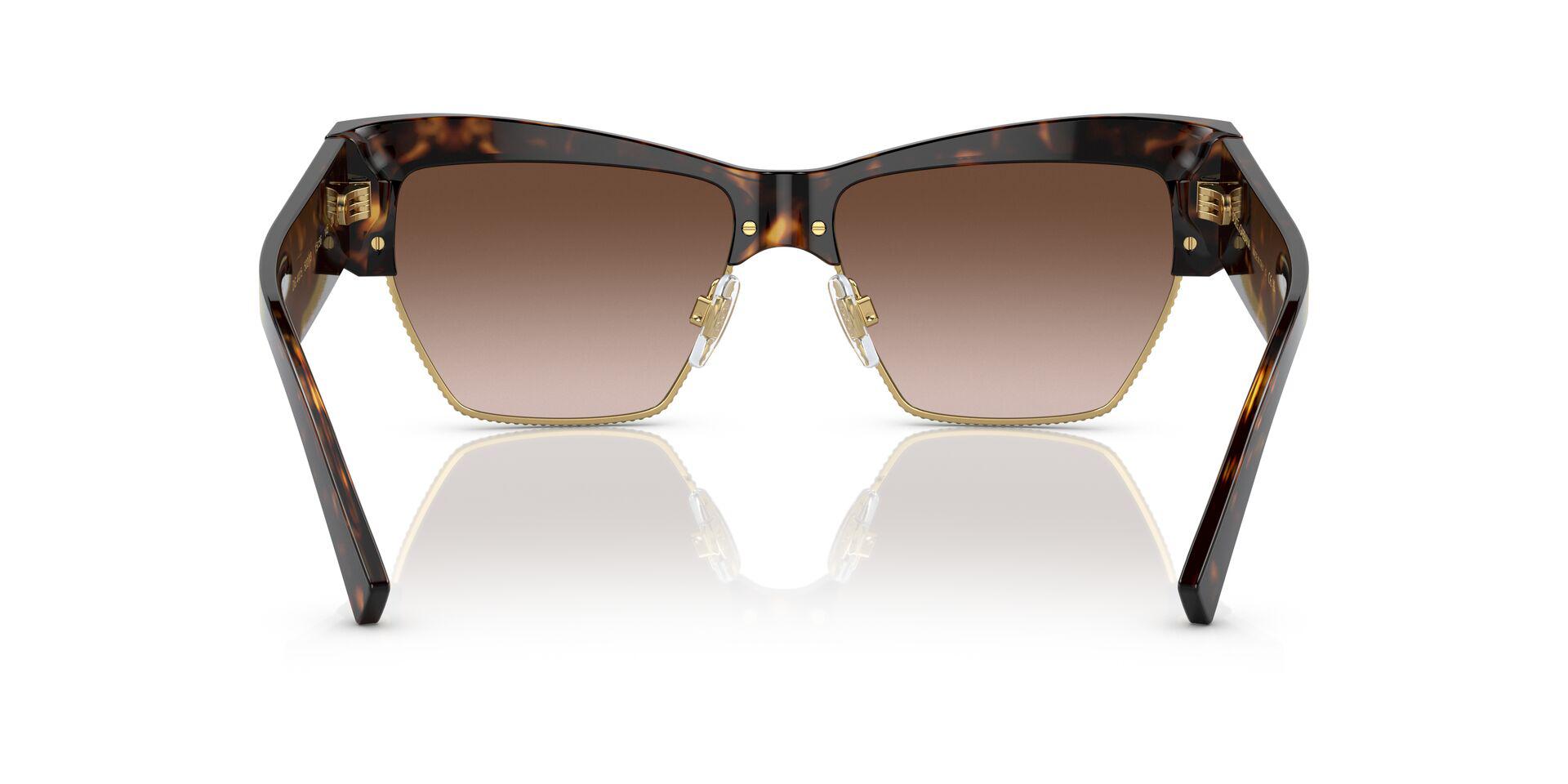 DG4415 Tortoise/Gradient Brown M