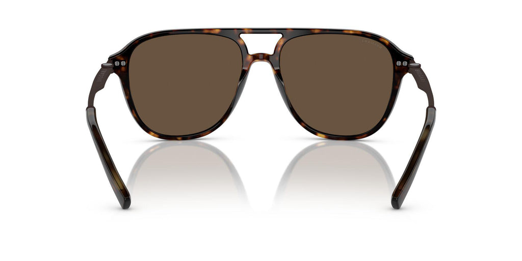 BV7038 Brown/Brown XXL