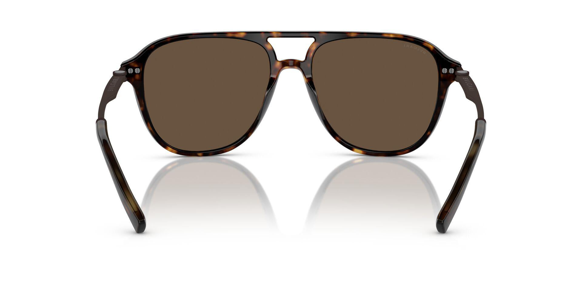 BV7038 BVLGARI Brown XXL