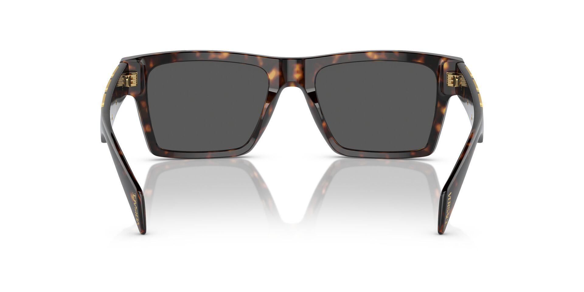 VE4445 Tortoise/Dark Grey L