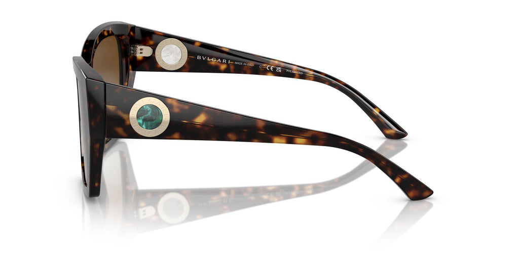 BV8260 Tortoise/Brown/Polarized L