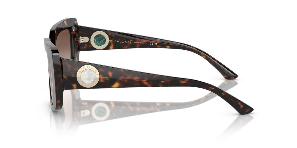 BV8261 Tortoise/Brown S