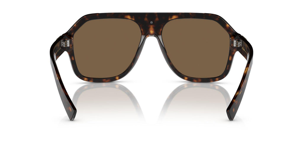 DG4433 Tortoise/Dark Brown L