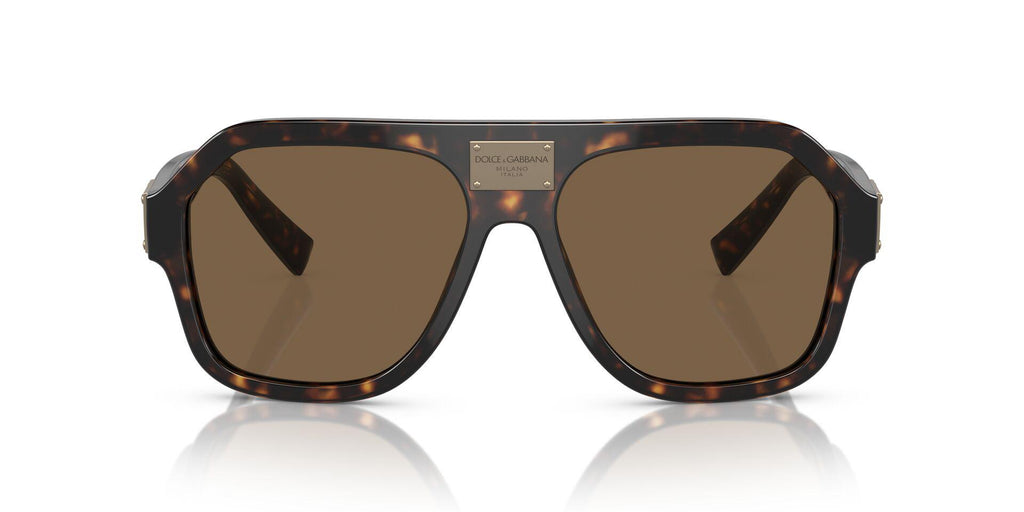 DG4433 Tortoise/Dark Brown L