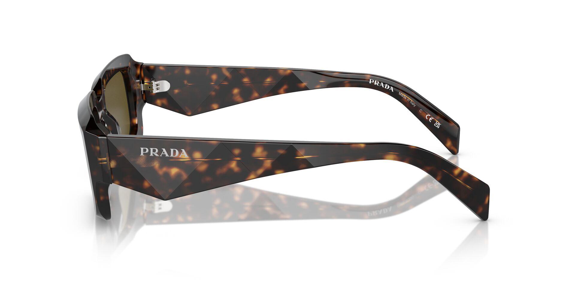 PR 27ZS Tortoise/Dark Brown L