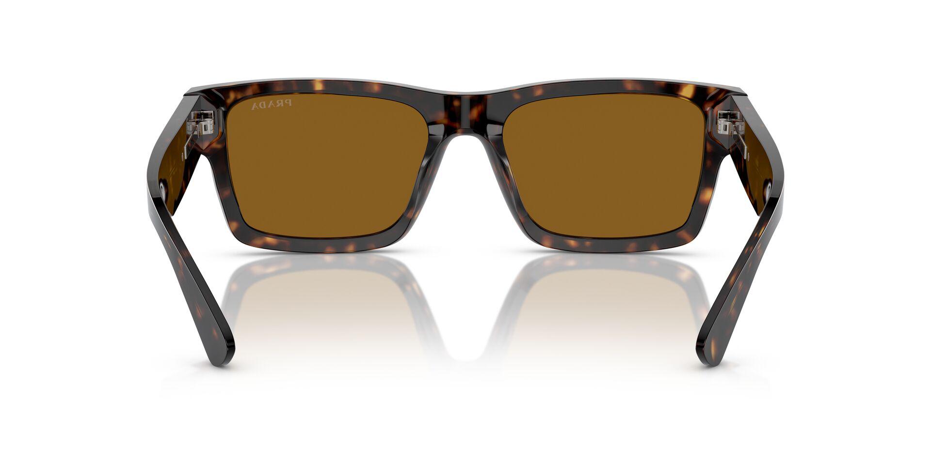 PR 25ZS Tortoise/Brown L