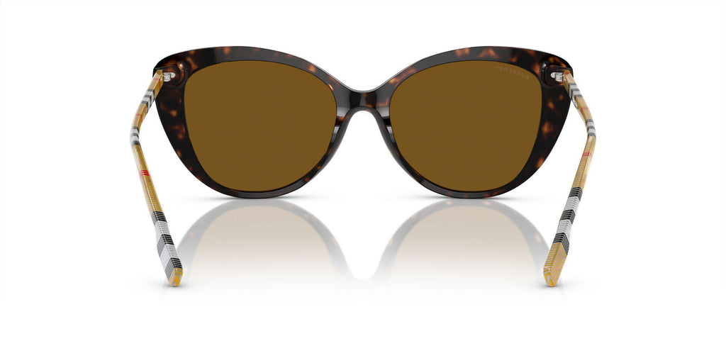 BE4407 Brown/Brown/Polarized M
