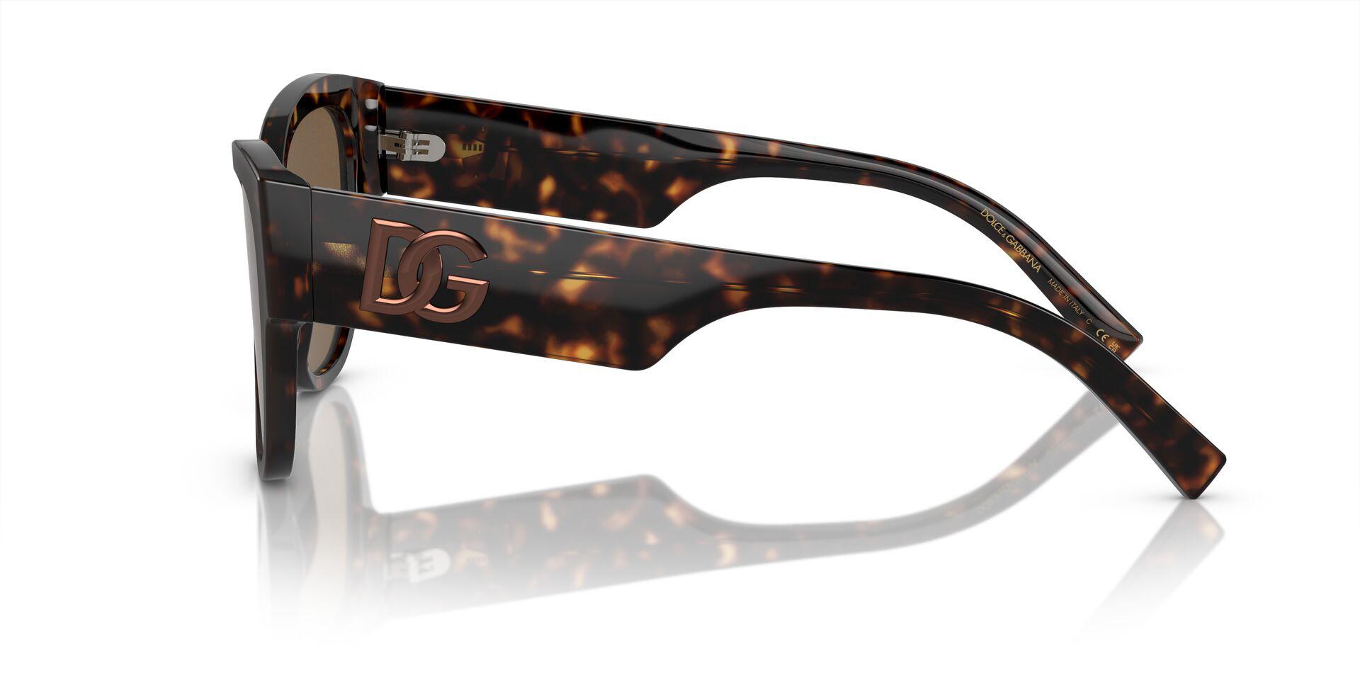 DG4449 Tortoise/Dark Brown M