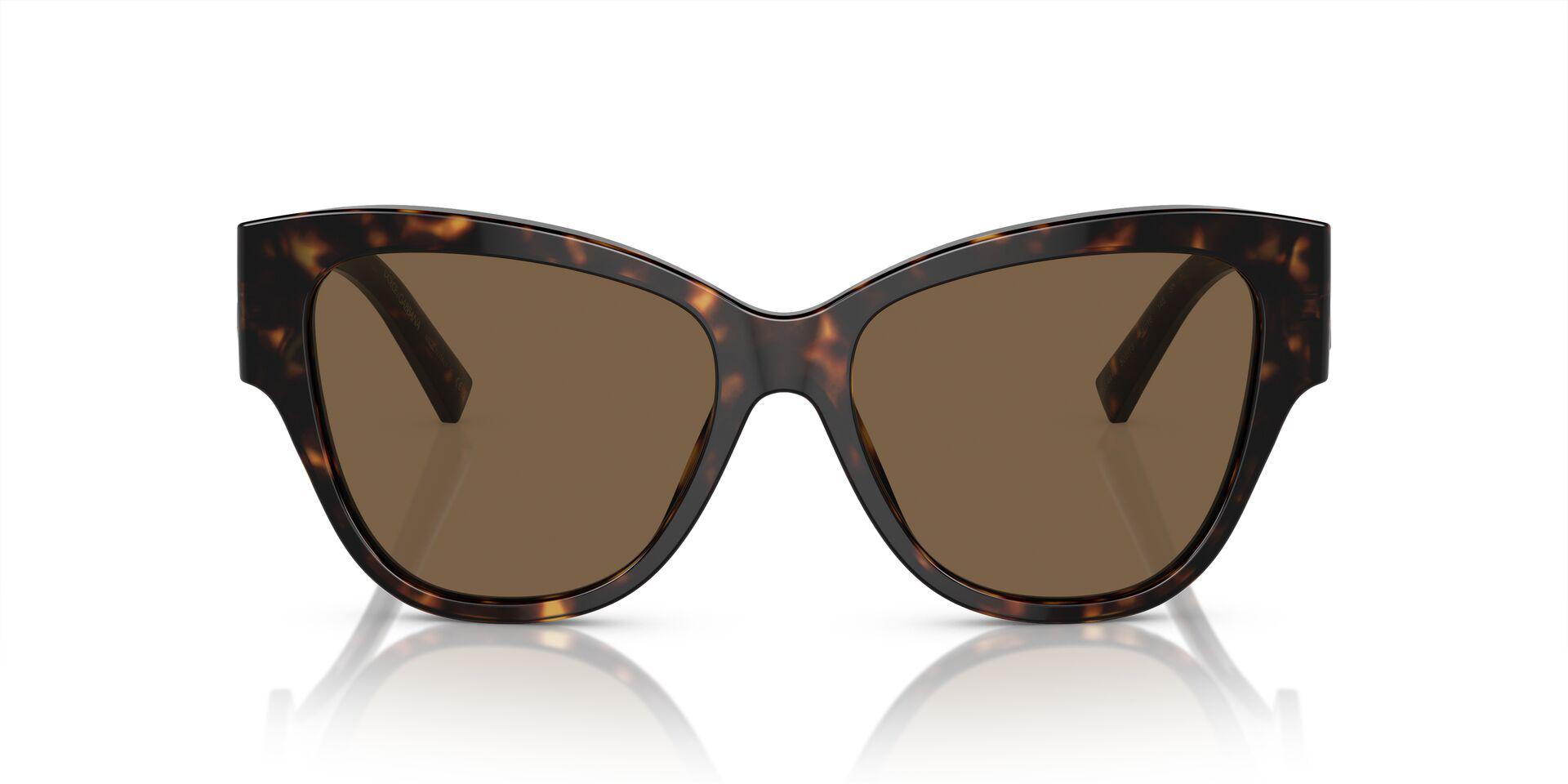 DG4449 Tortoise/Dark Brown M
