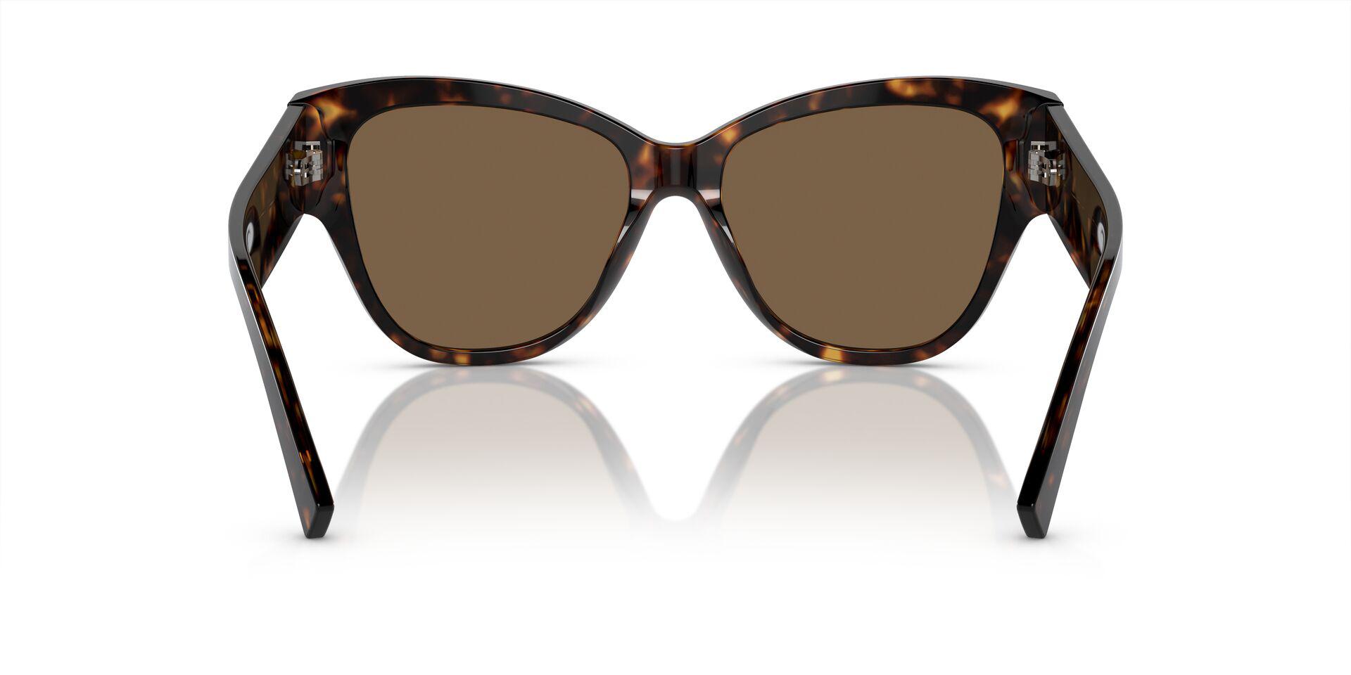 DG4449 Tortoise/Dark Brown M