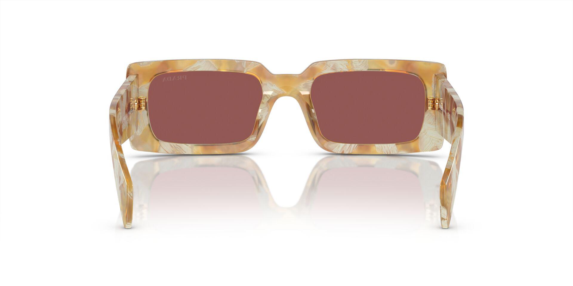 PR A07S Brown/Dark Violet XS
