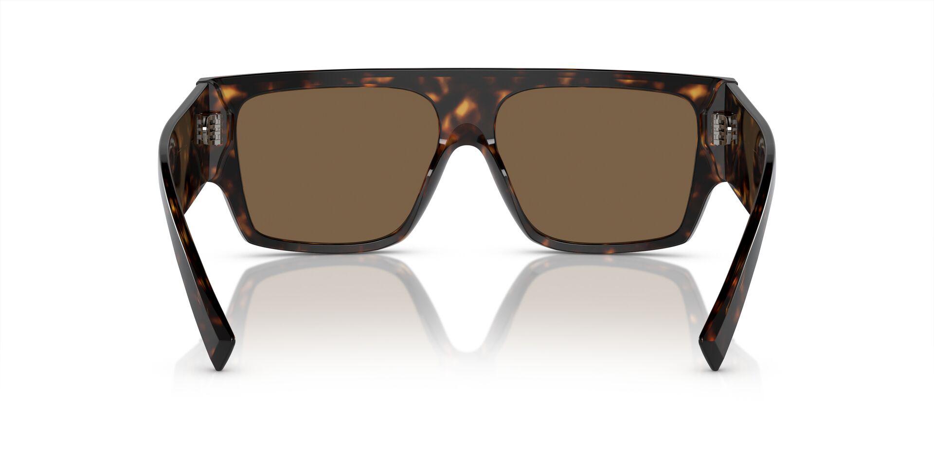 DG4459 Tortoise/Dark Brown M