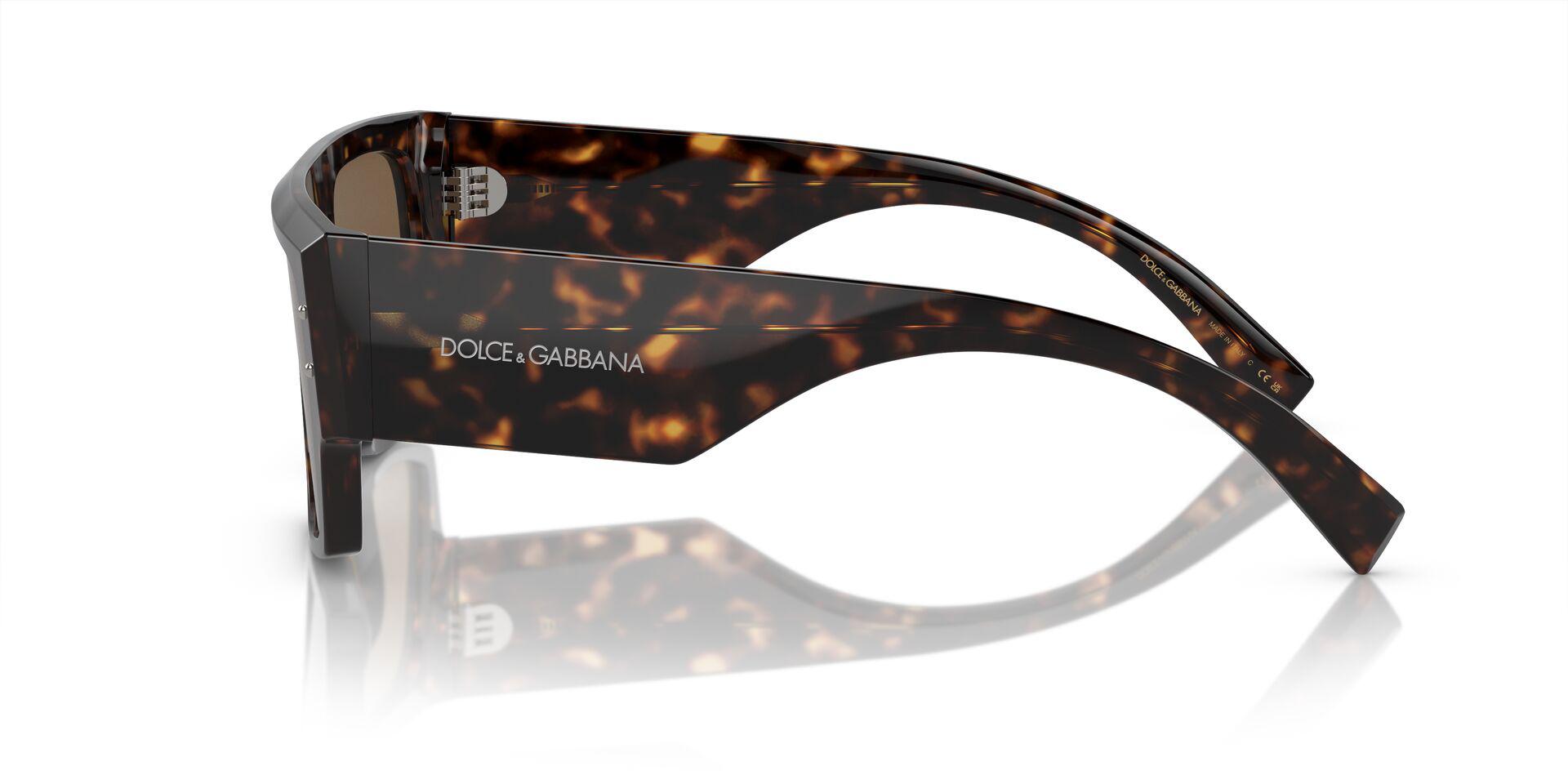 DG4459 Tortoise/Dark Brown M