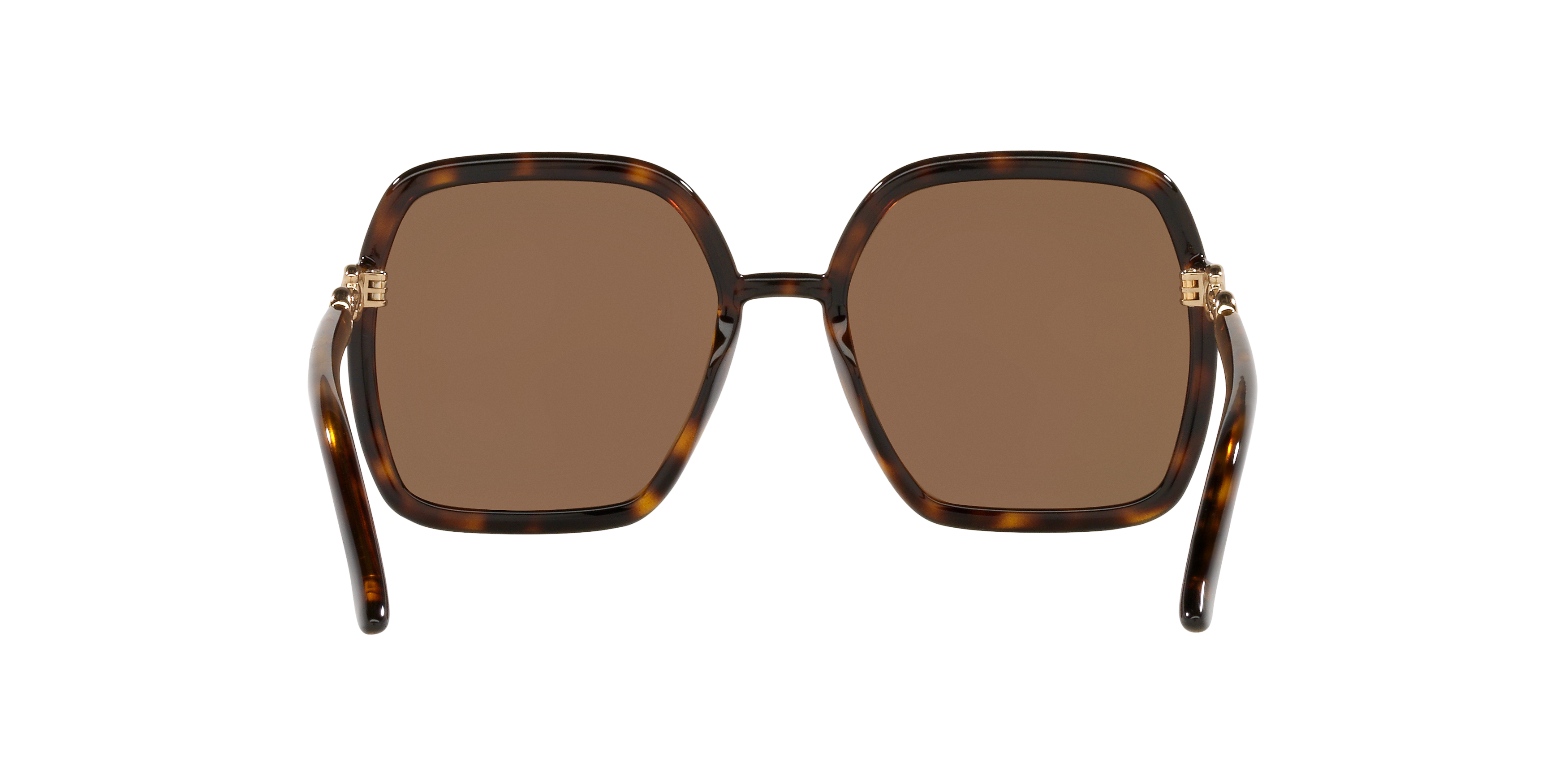 GC001516 Tortoise/Brown