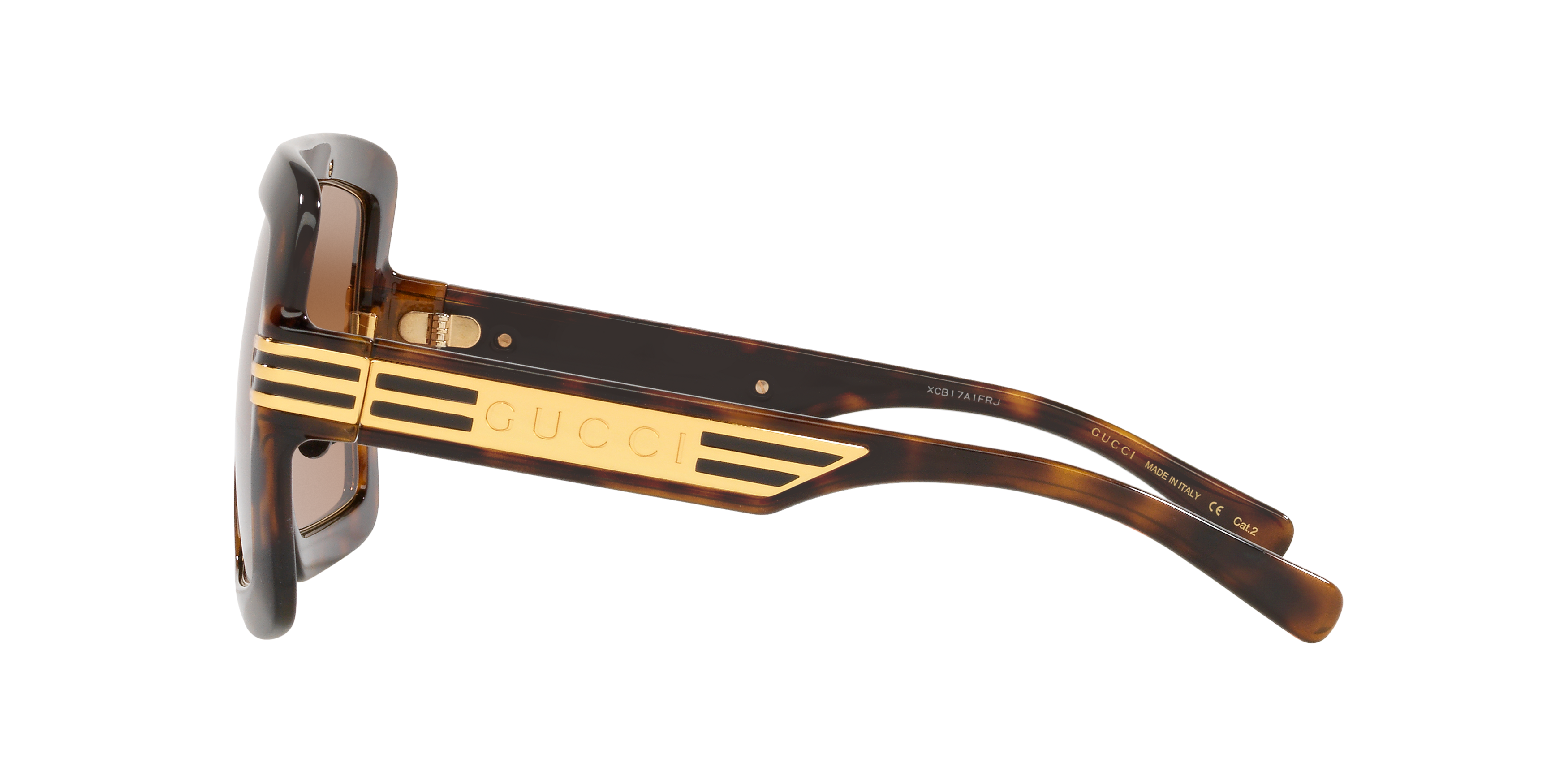 GC001519 Tortoise/Brown