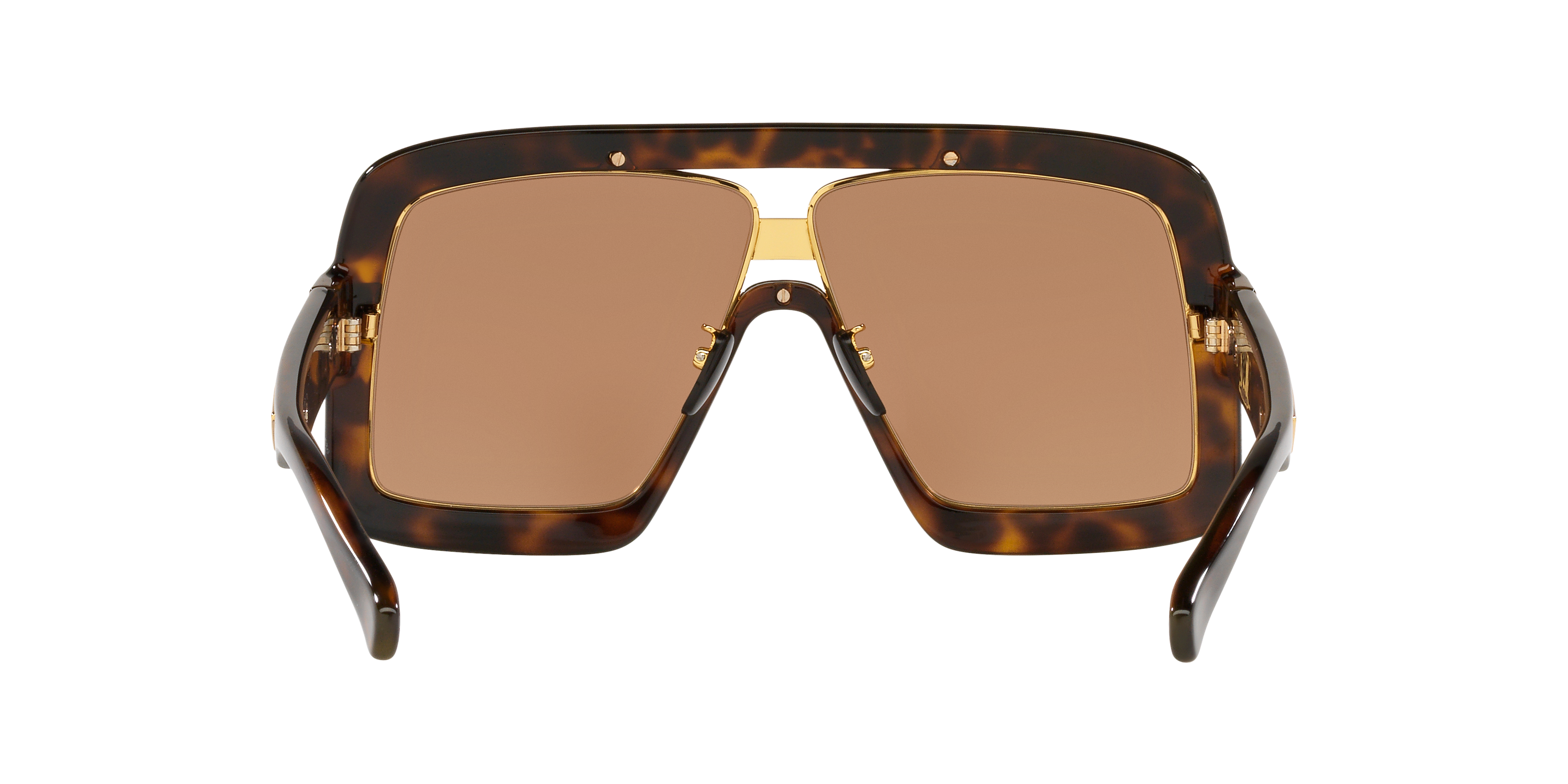 GC001519 Tortoise/Brown