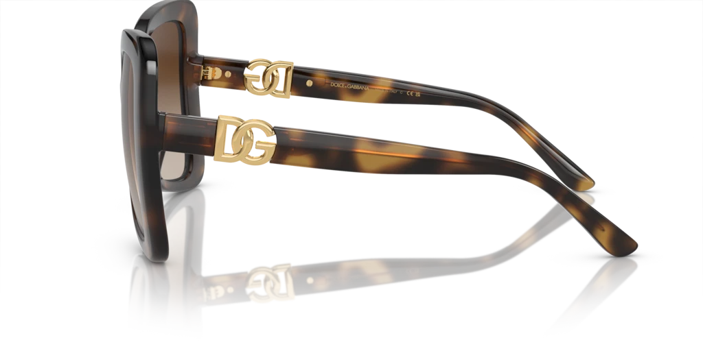 DG6193U Tortoise/Gradient Brown L