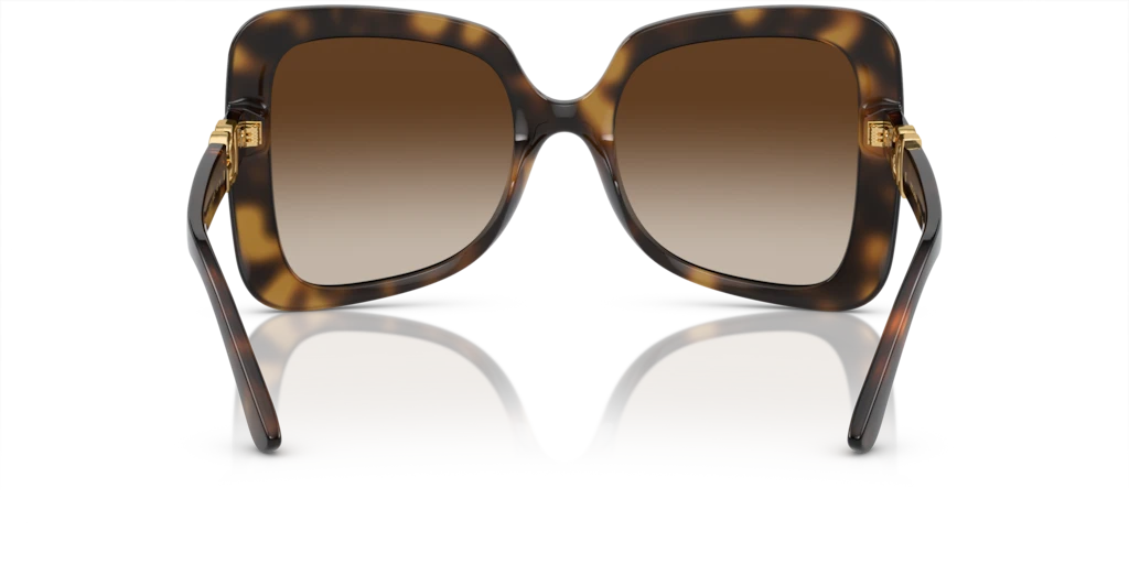 DG6193U Tortoise/Gradient Brown L