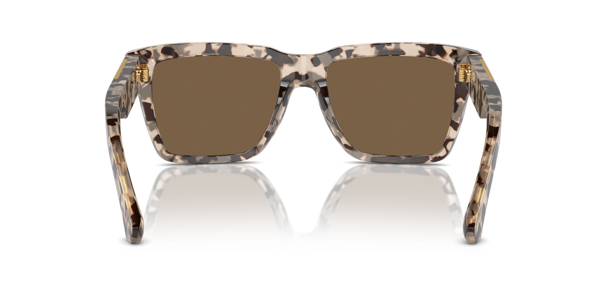 DG4465 Dolce & Gabbana Beige/Brown L