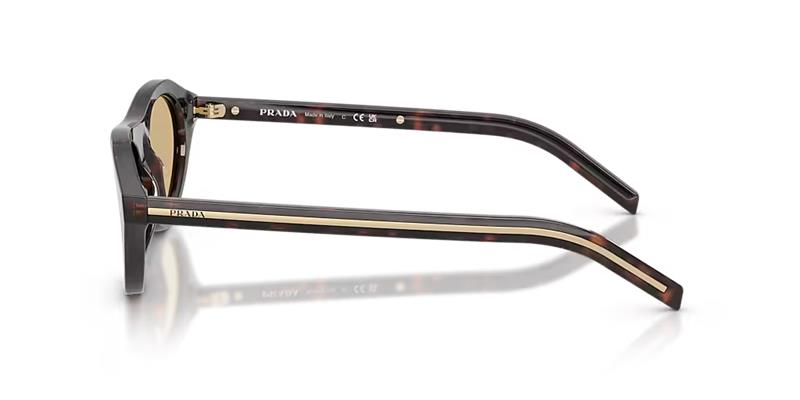 PR B15S Tortoise/Light Brown M