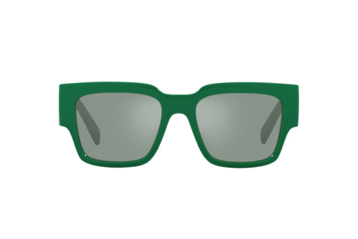 DG?6184?331182 Dolce & Gabbana Green/Silver