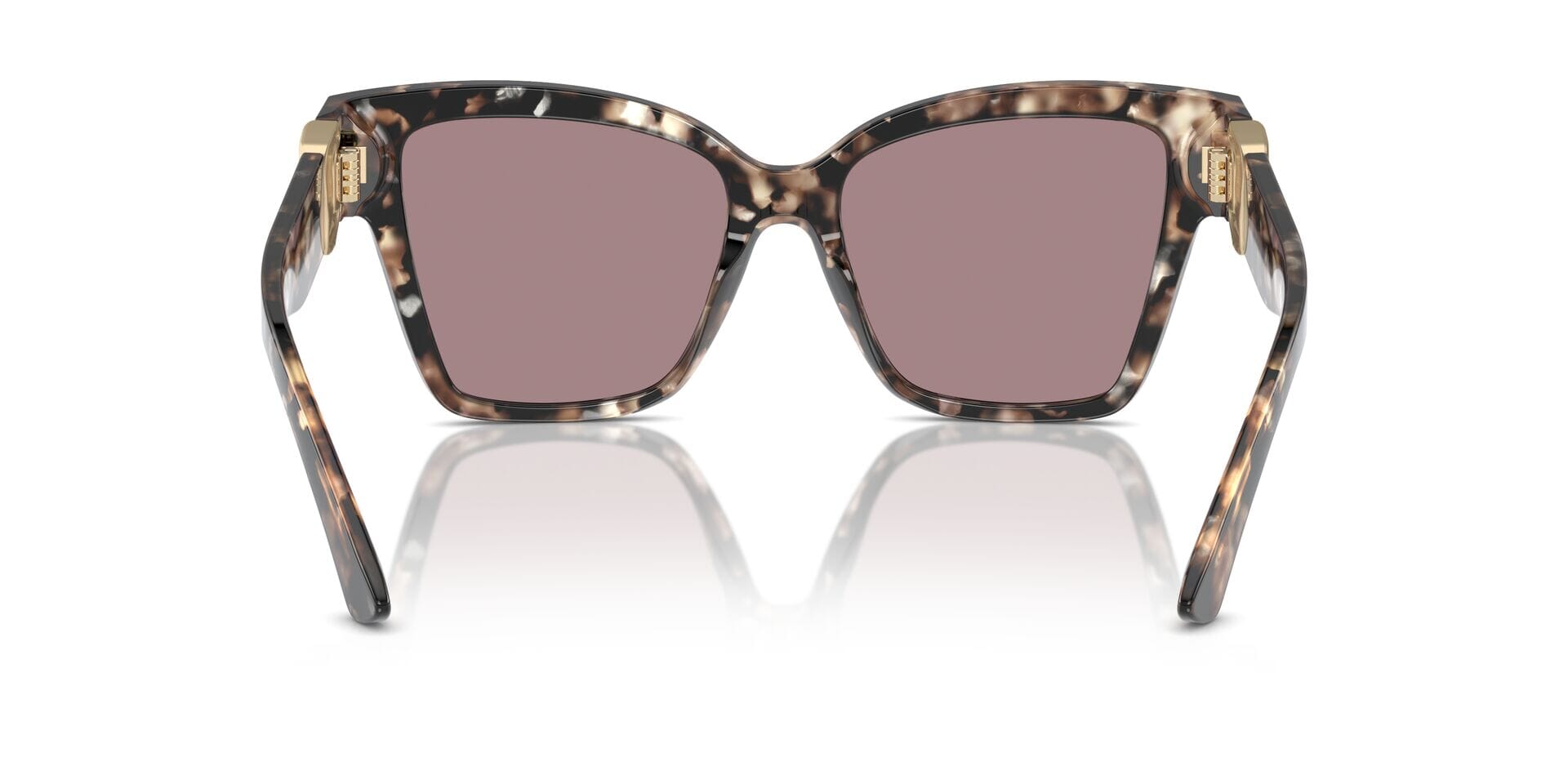 DG4470 Dolce & Gabbana Brown/Purple L