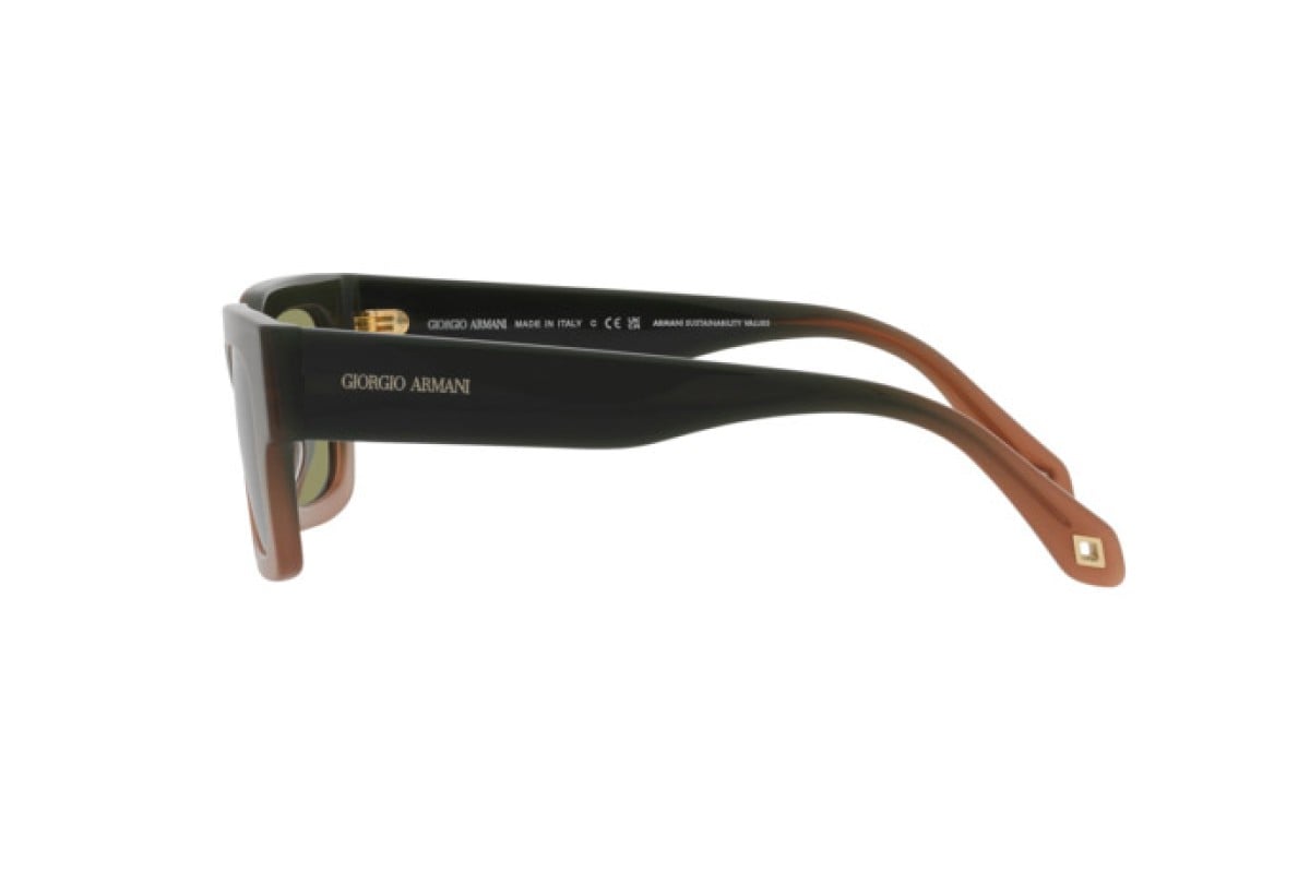 AR8184U Giorgio Armani Brown/Green