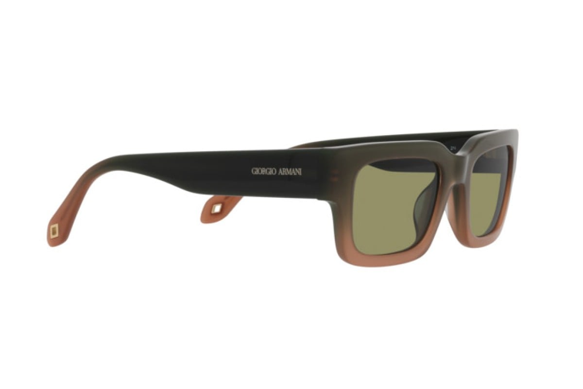 AR8184U Giorgio Armani Brown/Green