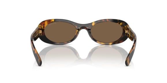 MU06ZS Miu Miu Havana/Brown M