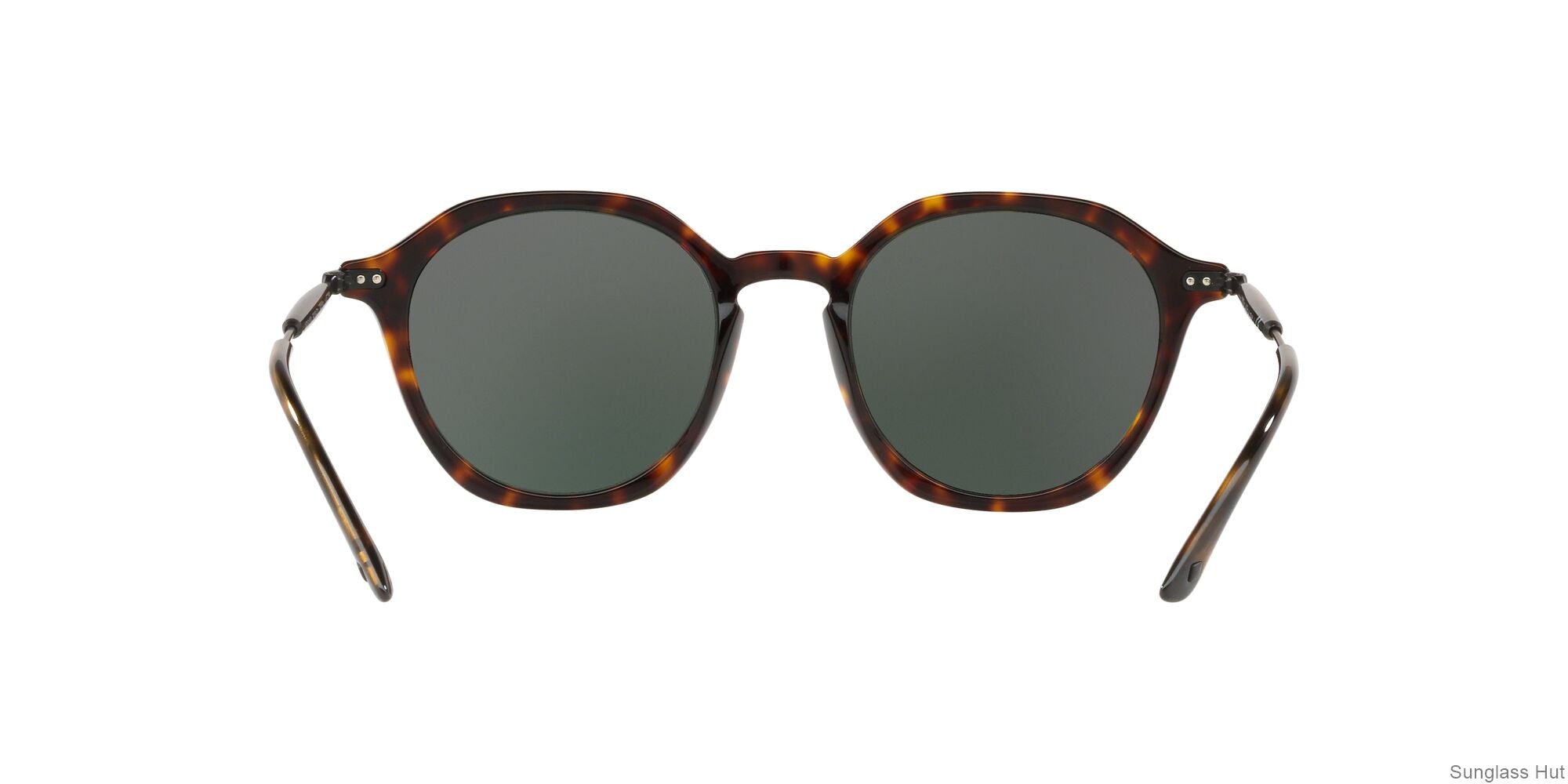 AR8109 Havana/Green XL