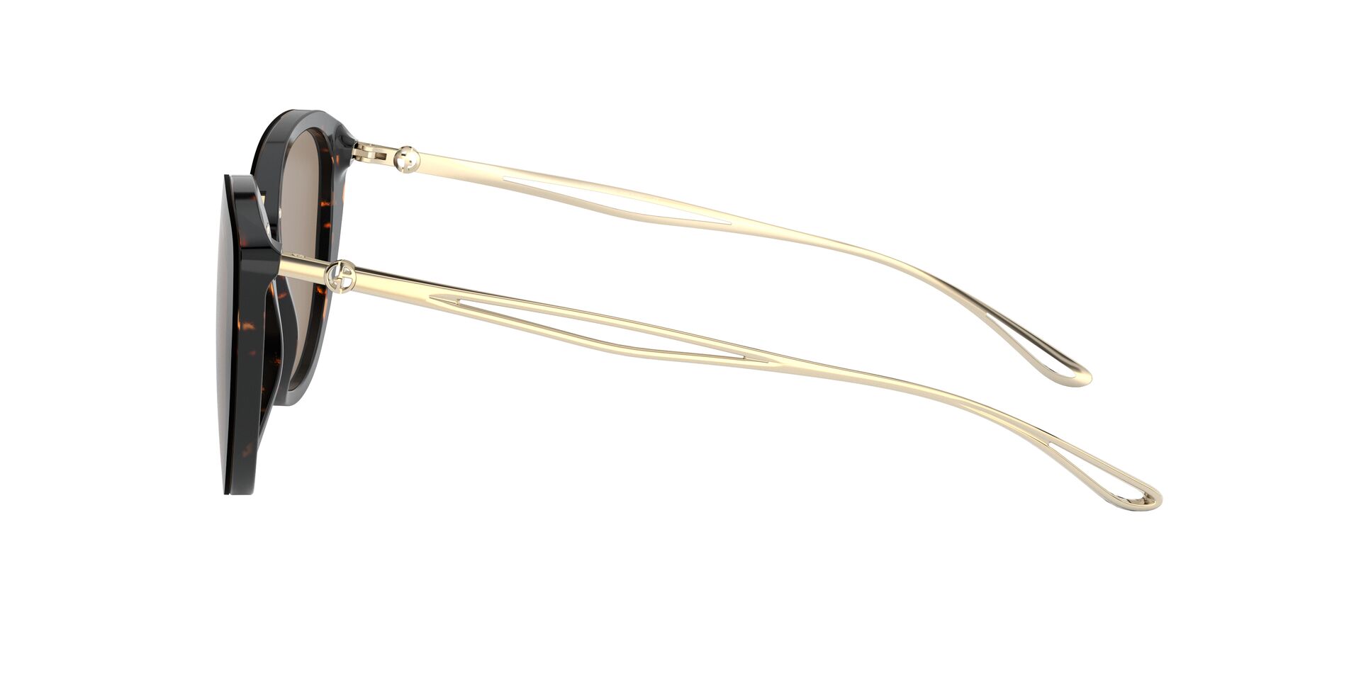 AR8123 Gold/Brown M