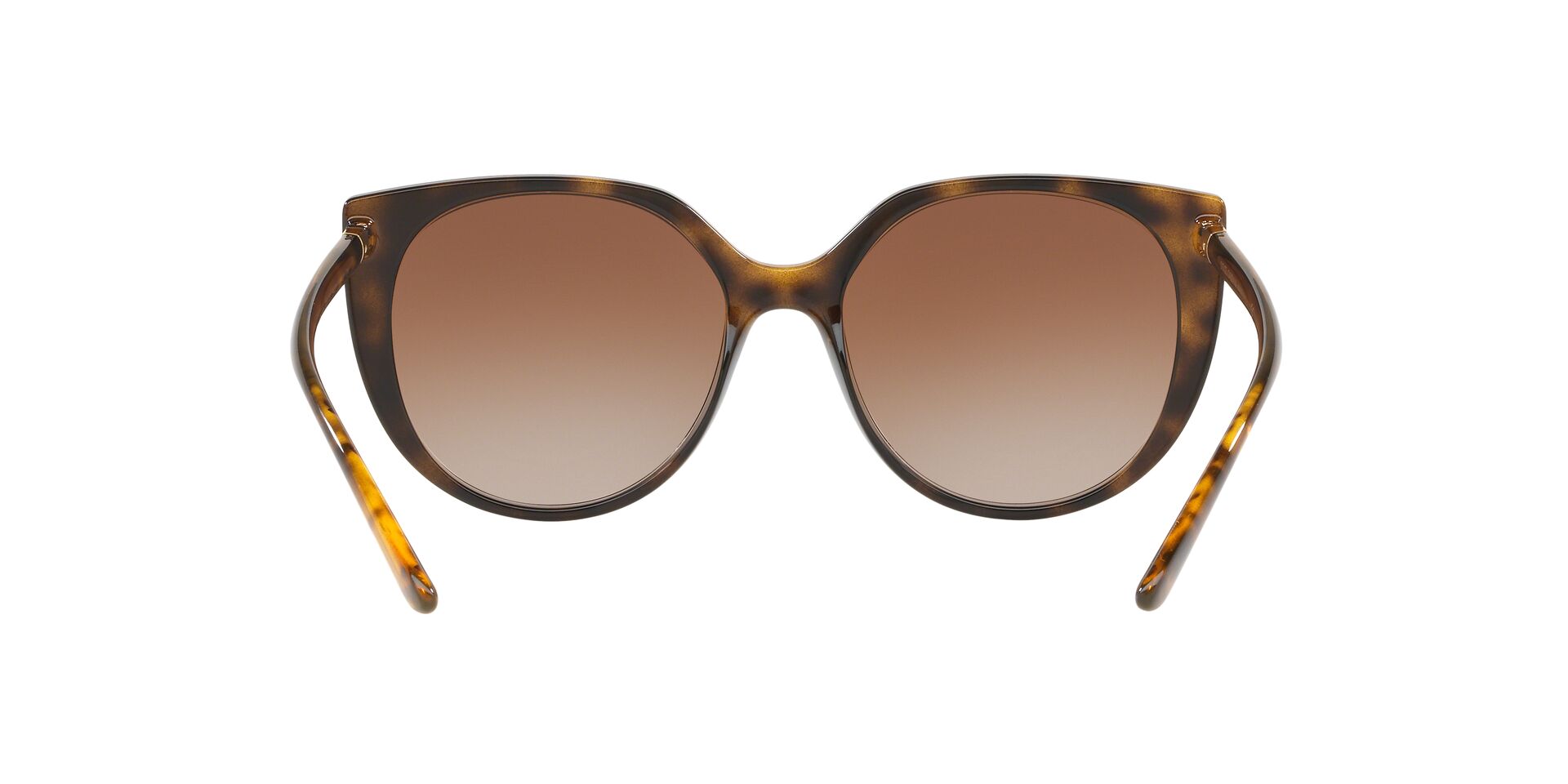 DG6119 Brown/Brown Gradient M