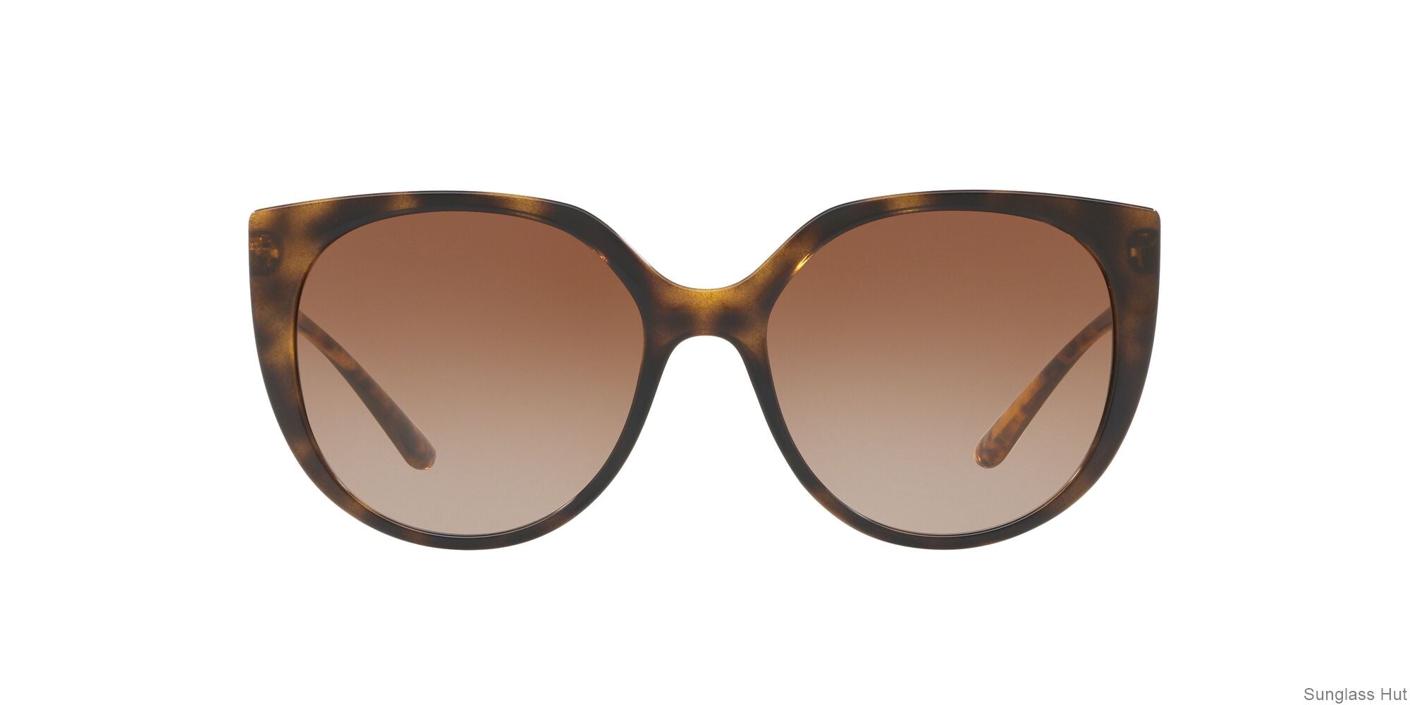 DG6119 Brown/Brown Gradient M