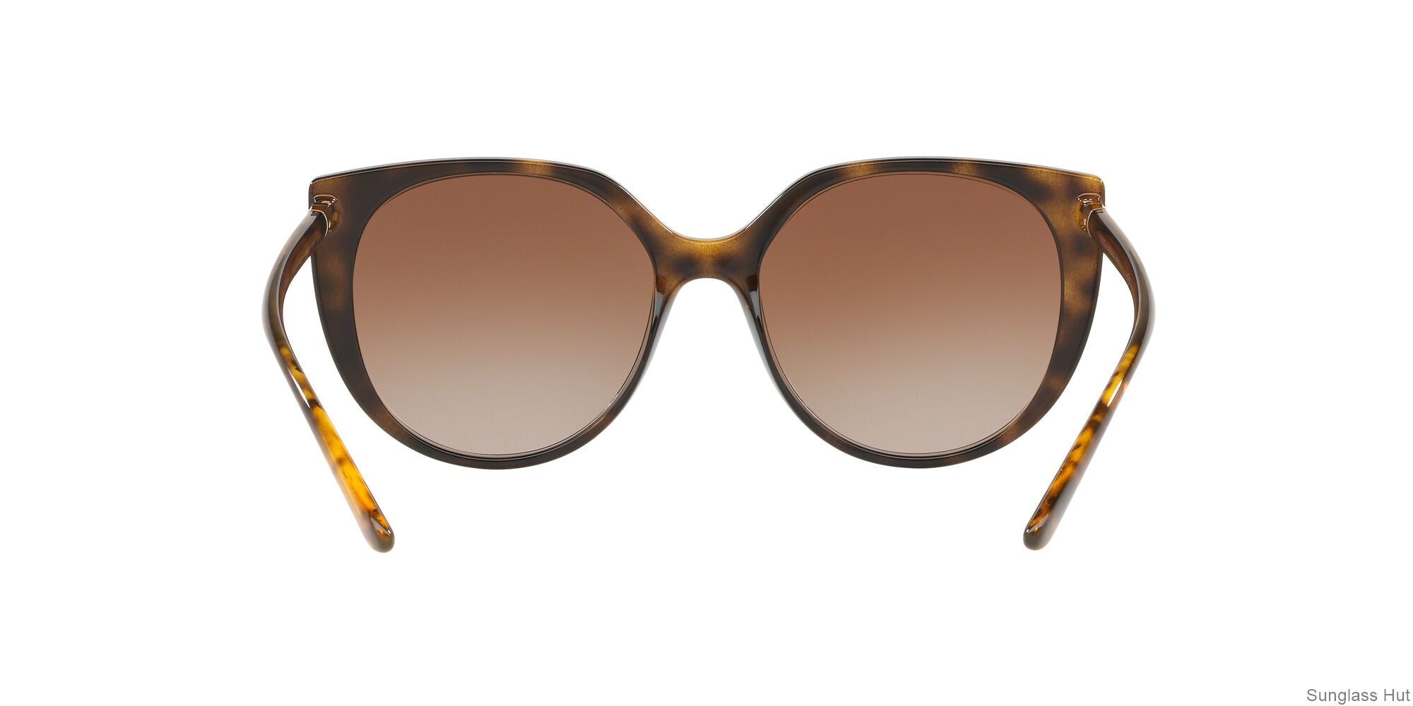 DG6119 Brown/Brown Gradient M