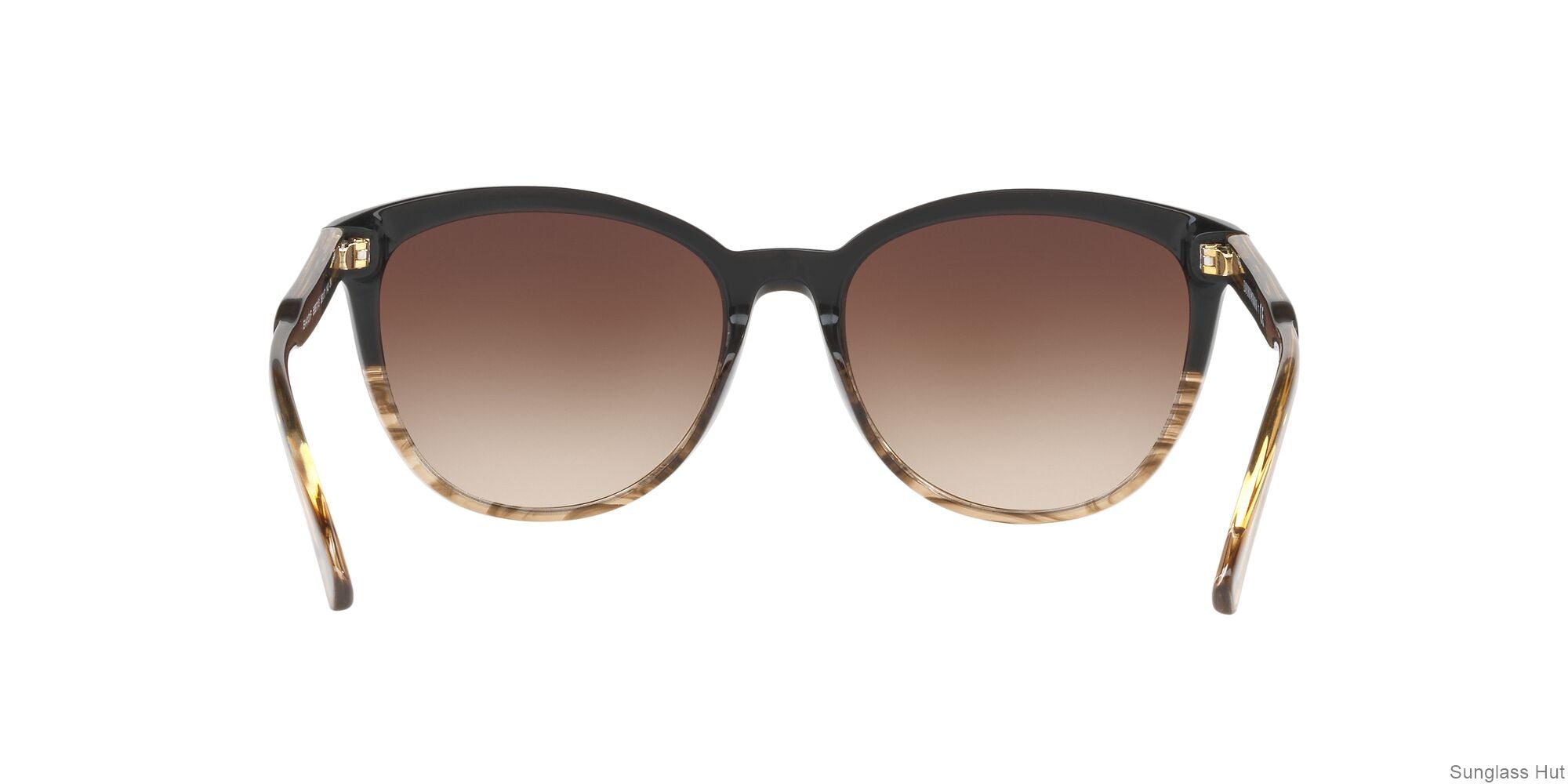 EA4101 /Gradient Brown M