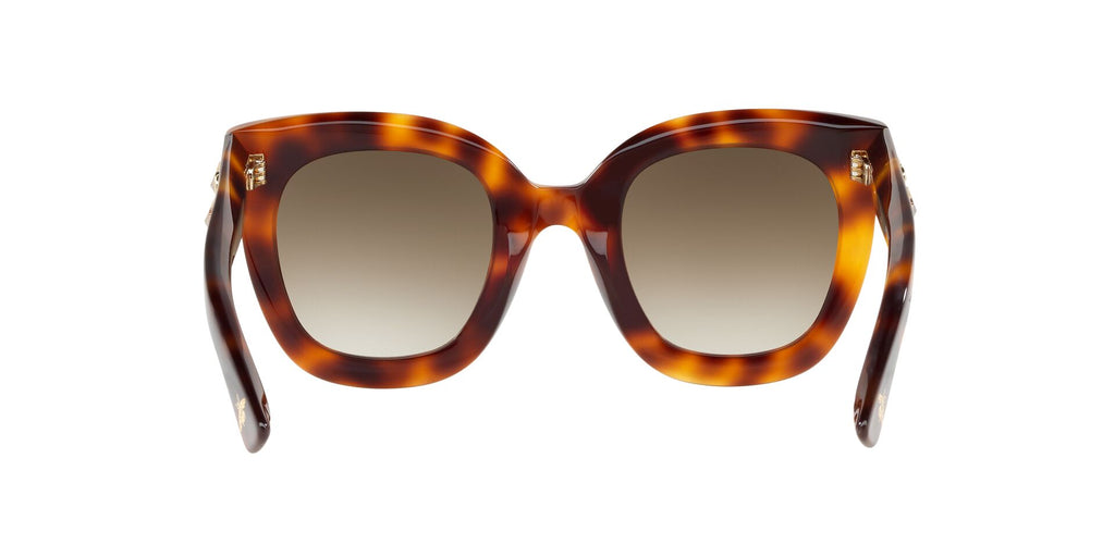 GC001103 Tortoise/Brown Grad STD