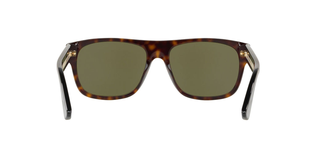 GC001147 Tortoise/Green STD