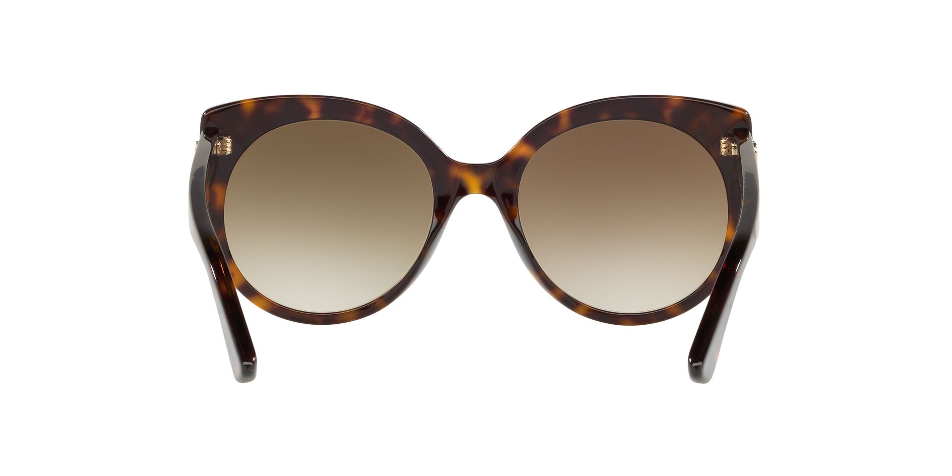 GC001148 Tortoise/Brown Gradient STD