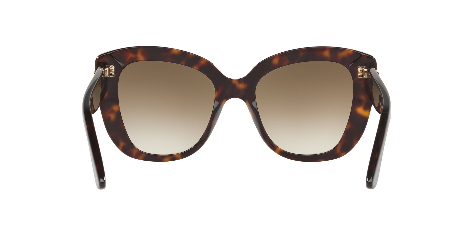 GC001150 Tortoise/Brown STD