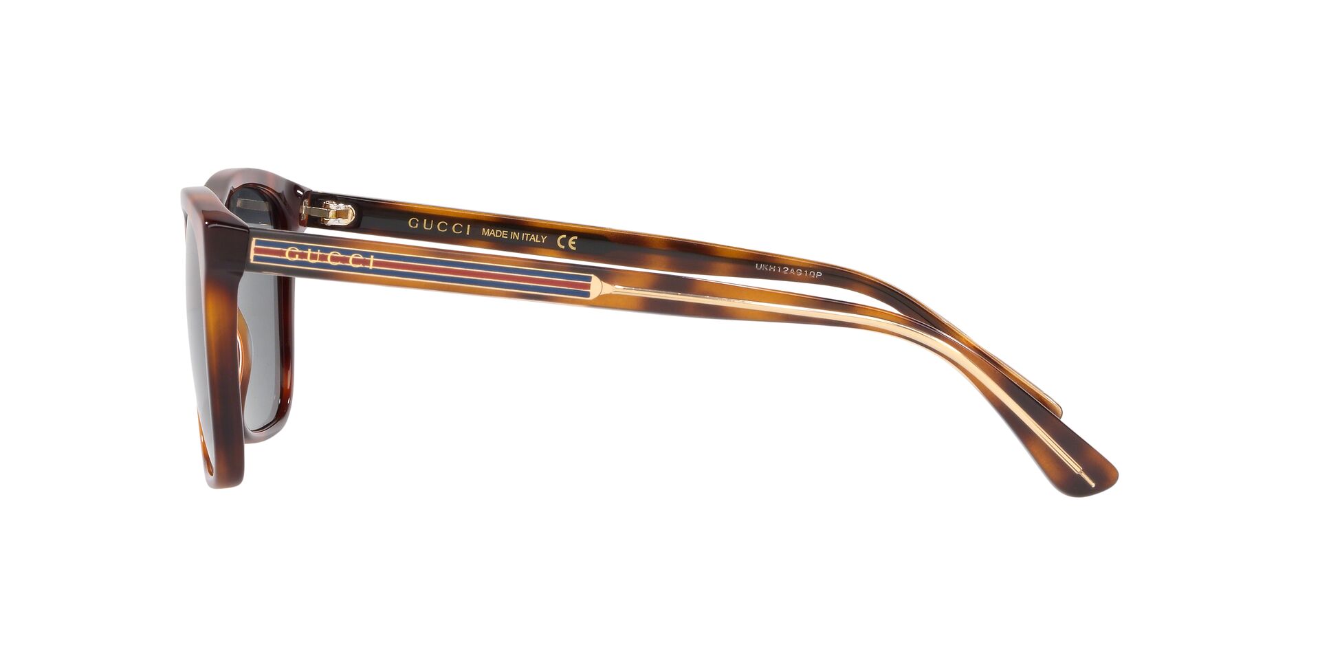 GC001188 Tortoise/Blue STD
