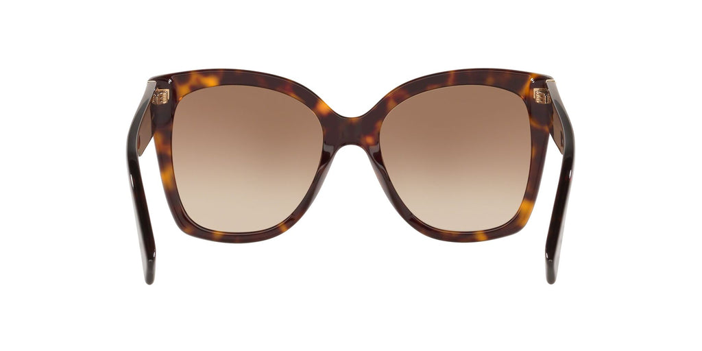 GC001221 Tortoise/Brown STD