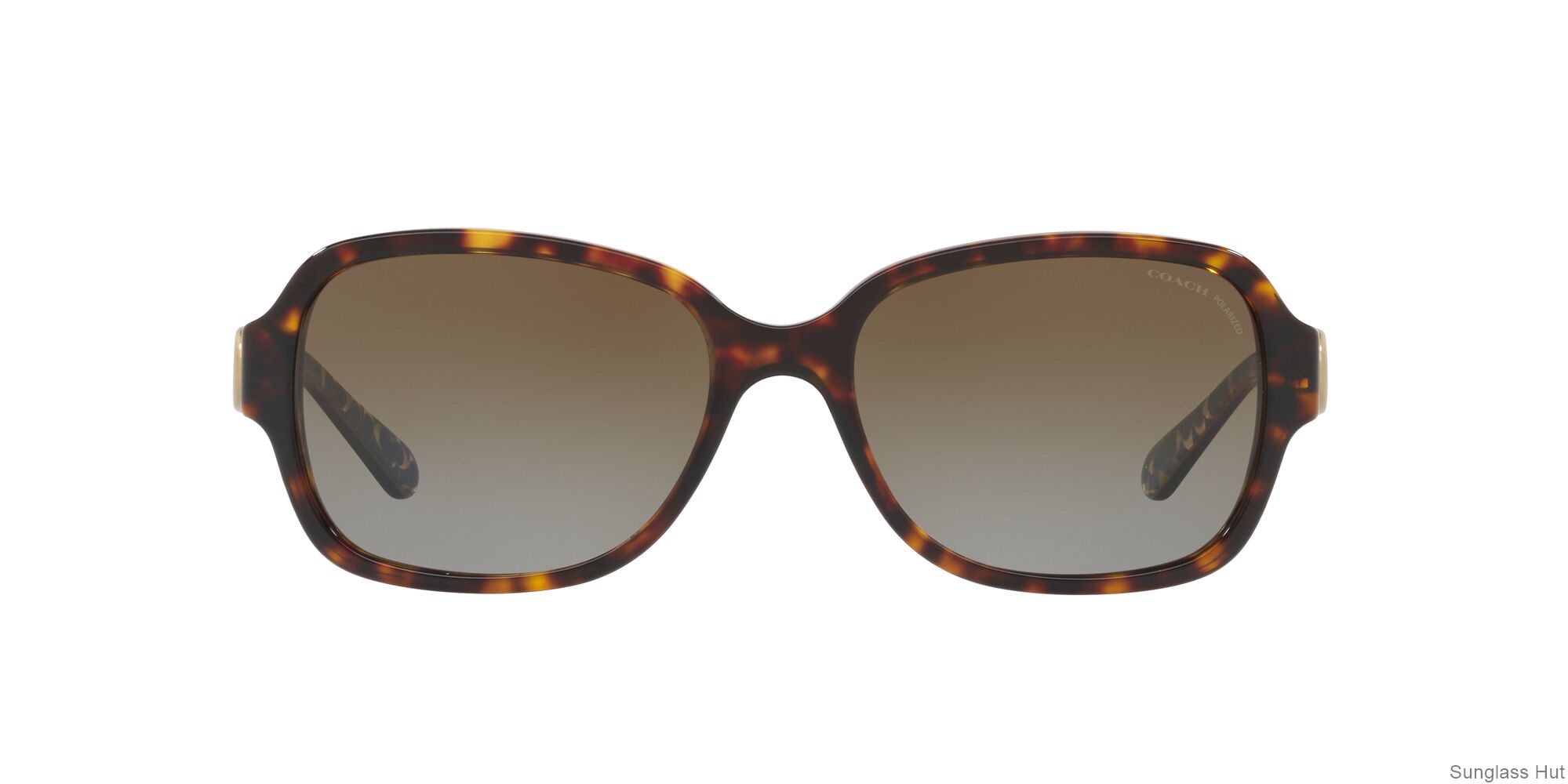 HC8241 Tortoise/Brown Gradient Polar/Polarized L